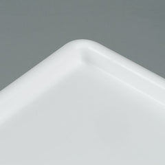 Polystyrene Platter